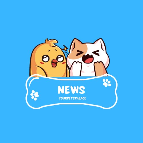 Your pets palace news logo